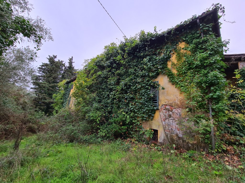Fabbricati e terreni, Lucca
