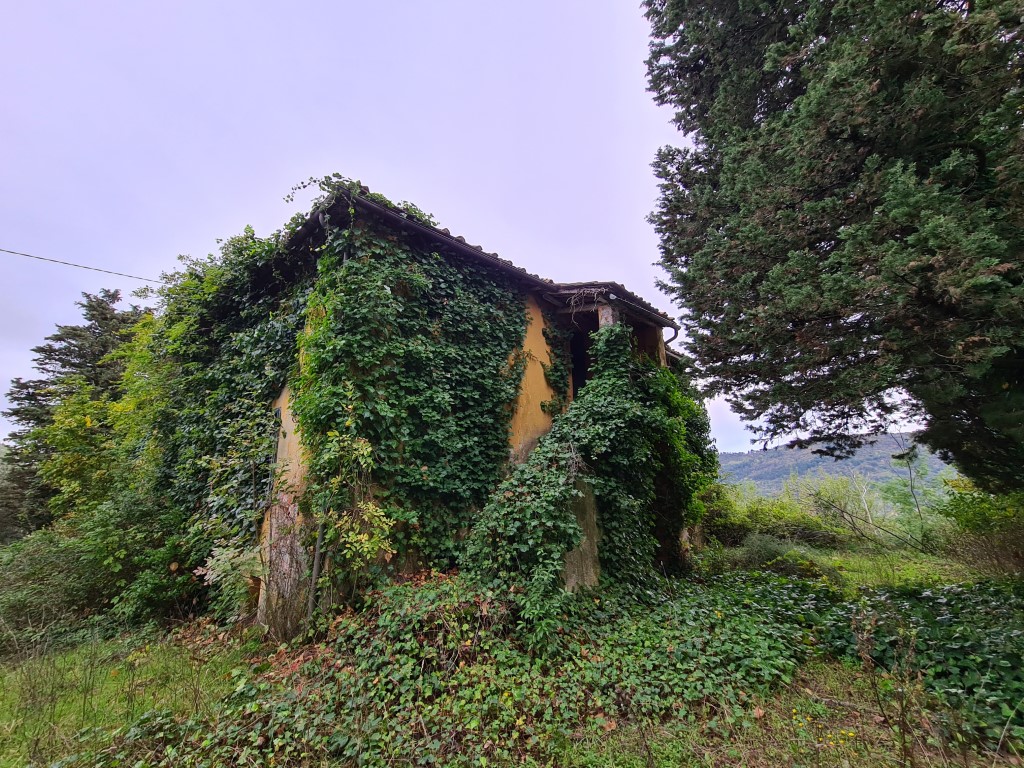 Fabbricati e terreni, Lucca