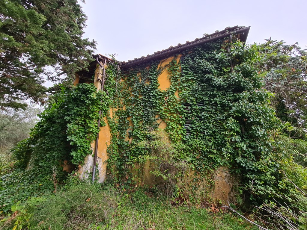Fabbricati e terreni, Lucca
