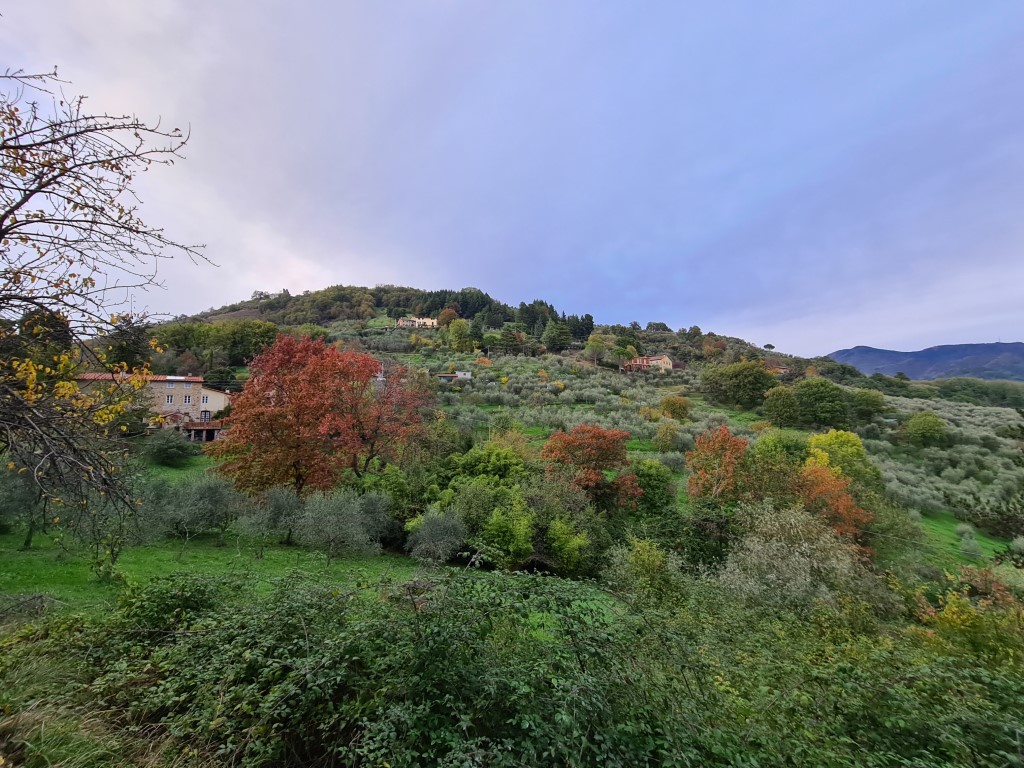 Fabbricati e terreni, Lucca