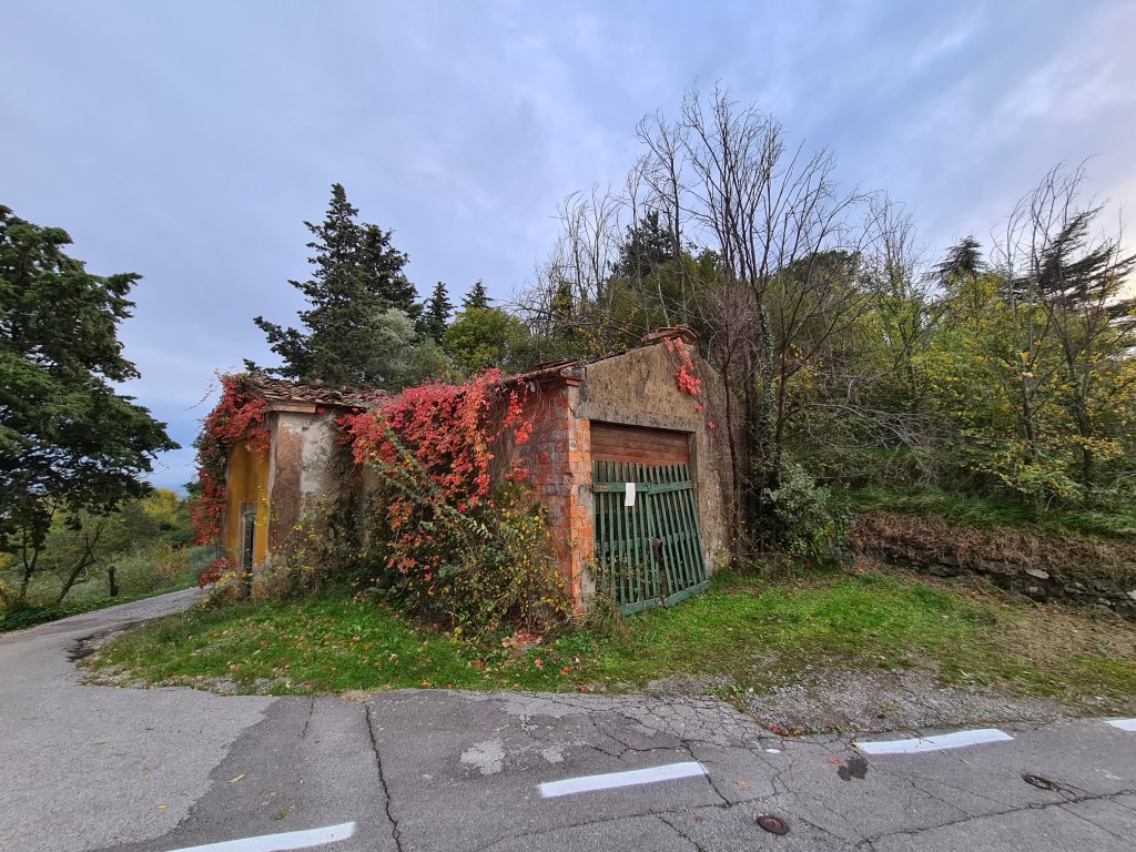 Fabbricati e terreni, Lucca
