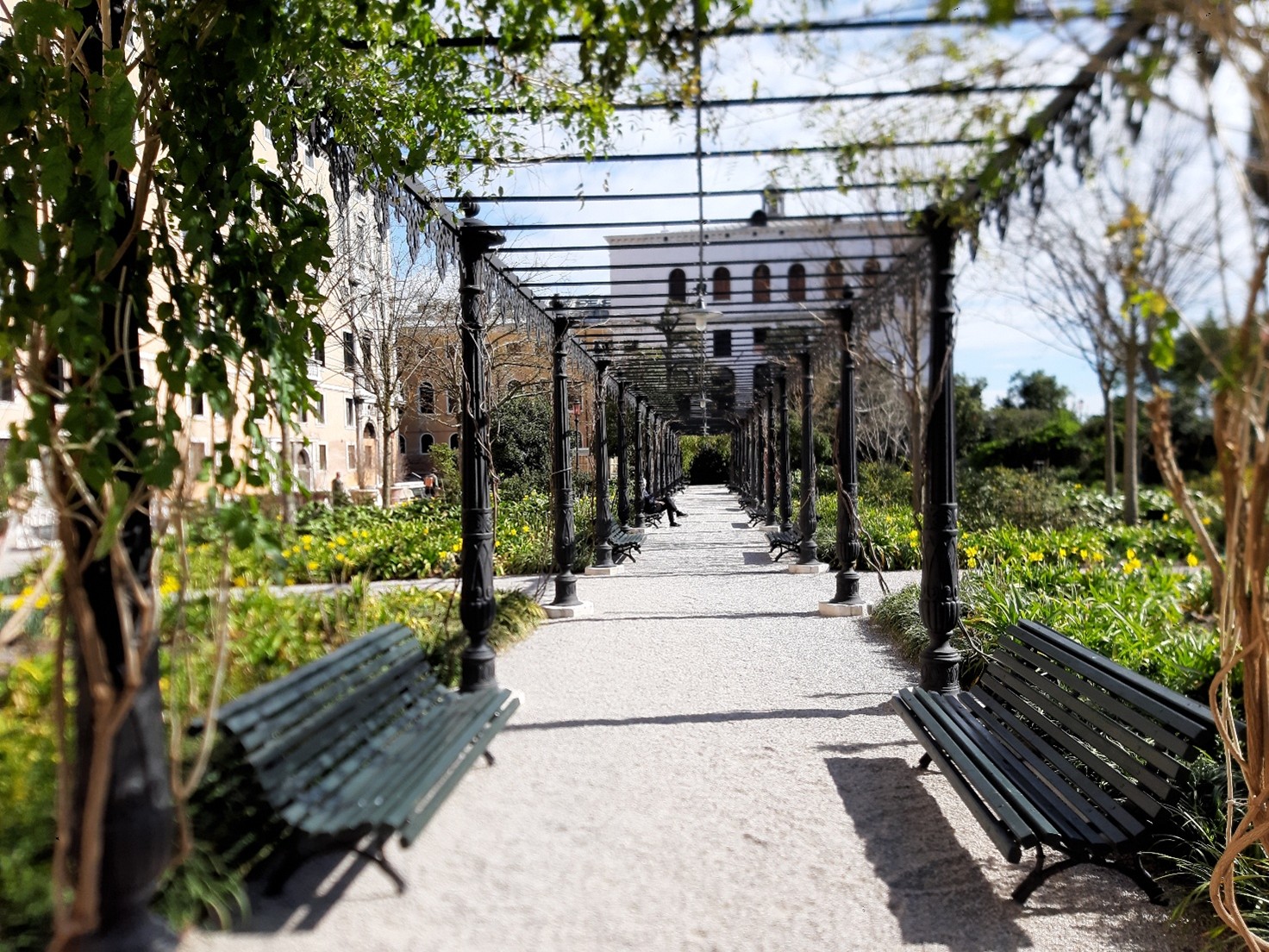 Giardini reali 2