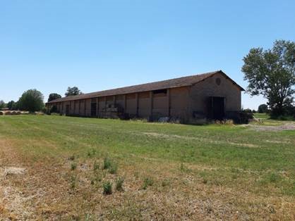 Mirandola (MO)  terreno in concessione