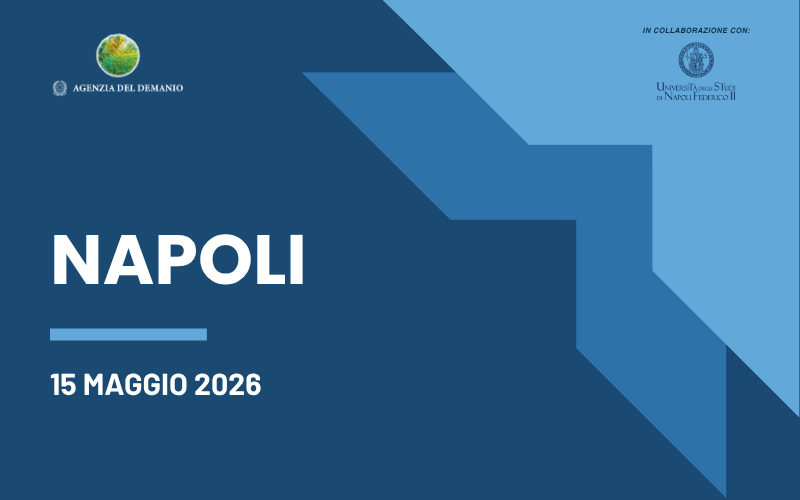 Workshop Napoli 15 maggio 2026