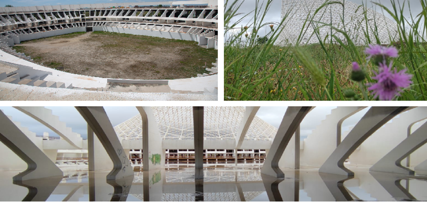 Area Tor Vergata prima dei lavori. Credits Natura e Architettura Ortolani