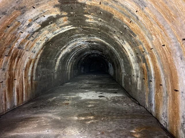 3. Interno della Galleria 1