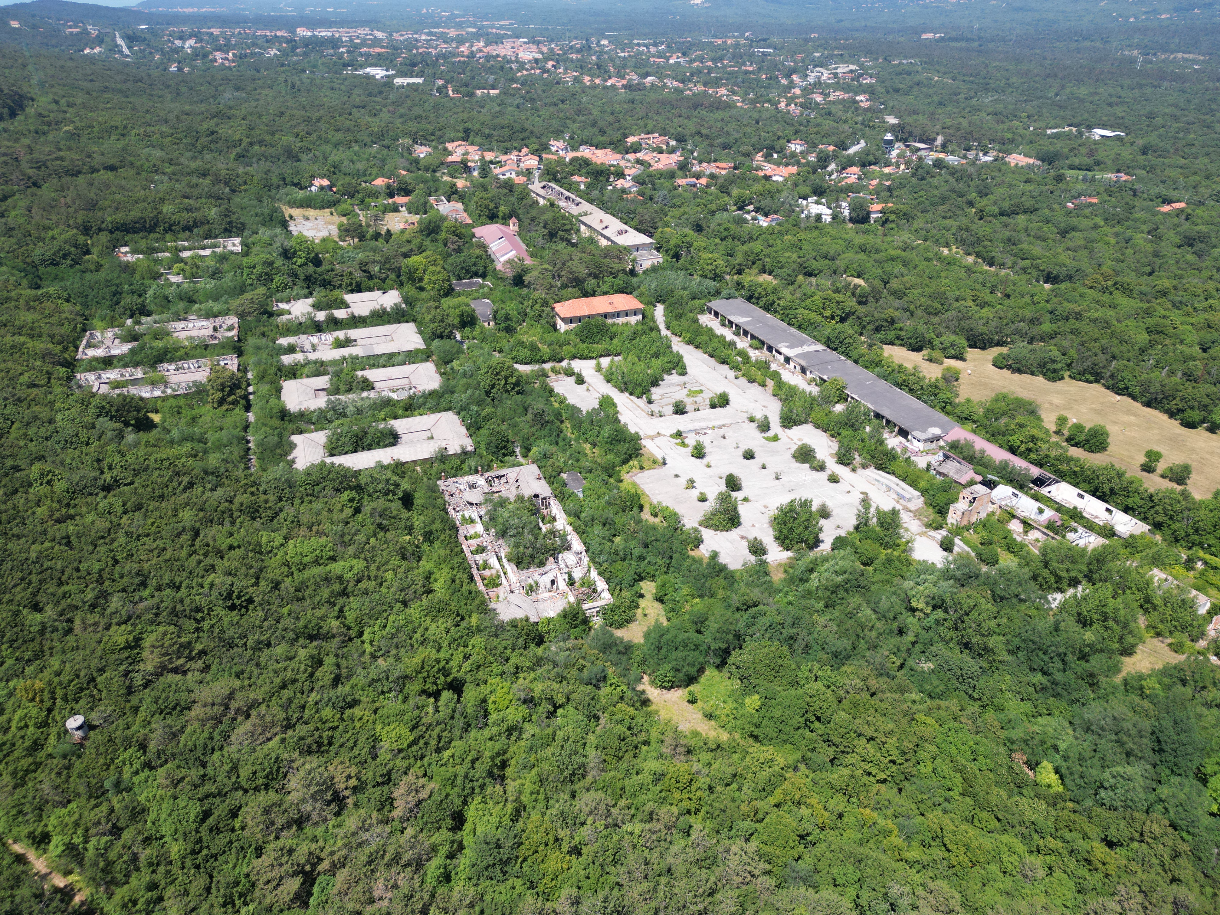 Burgstaller1