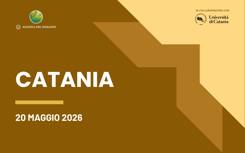 WS Catania