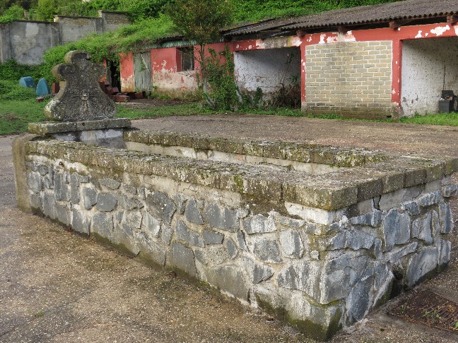 3.-MANZIANA-ex-dist-vedette