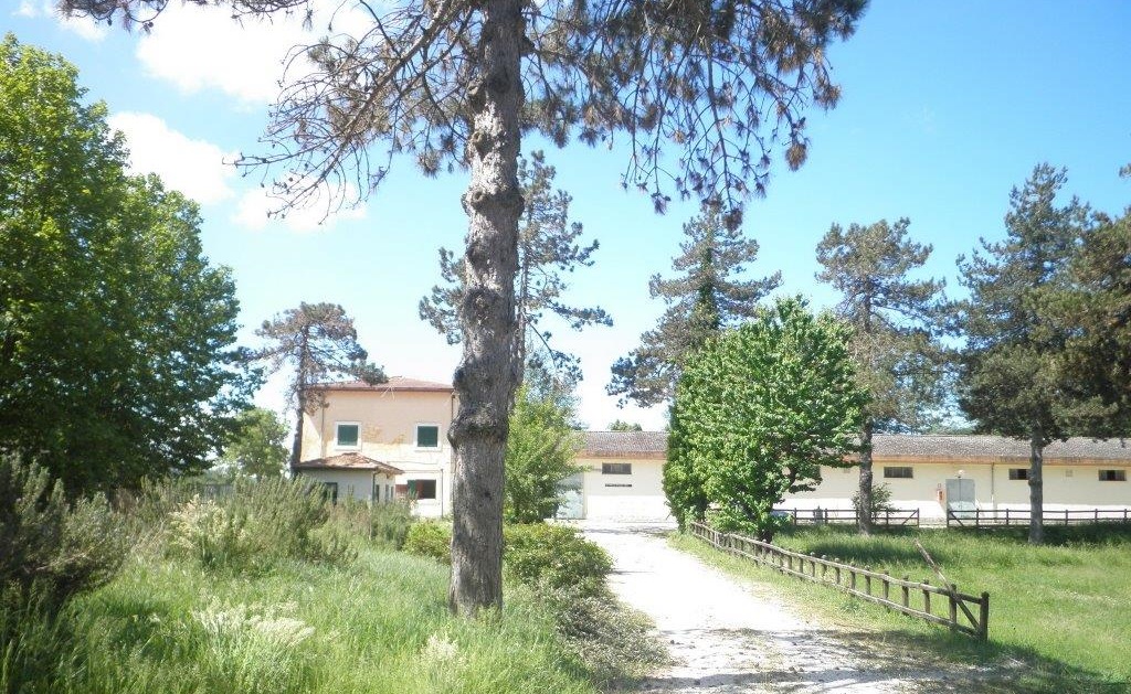 Pratoni_del_Vivaro