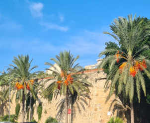 bastione-impossibile