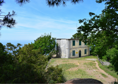 camogli-semanforo-nuovo