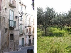 notizia-abruzzo