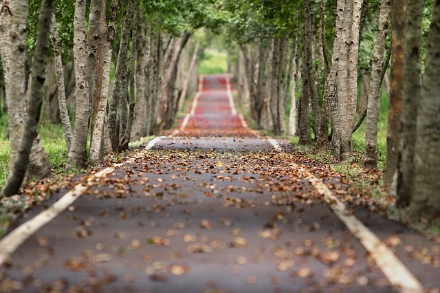 strade